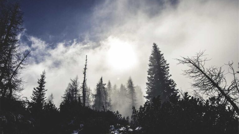 How To Access 11Xplay Demo Login For Practice?